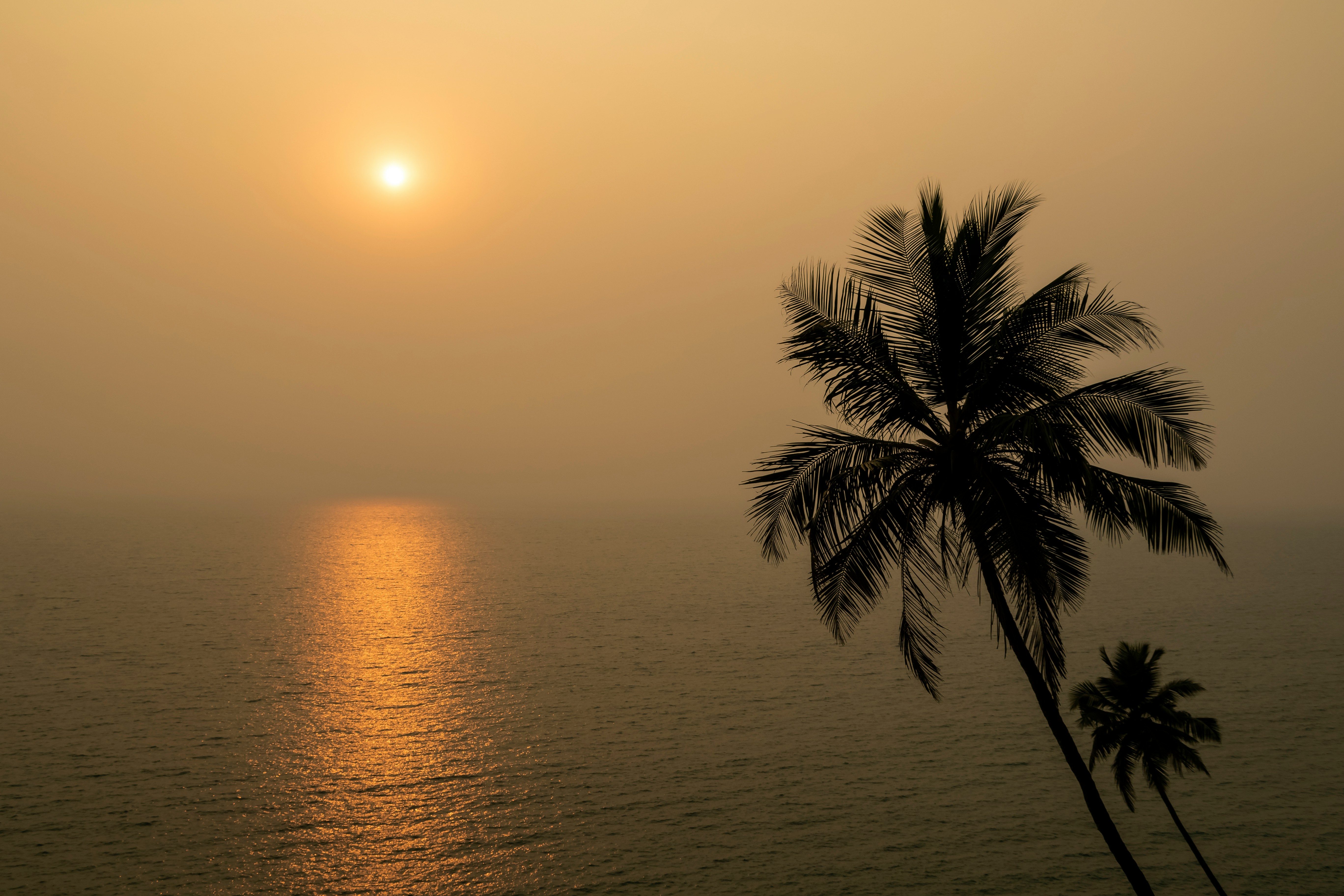 Gallery image 3 for Goa, India