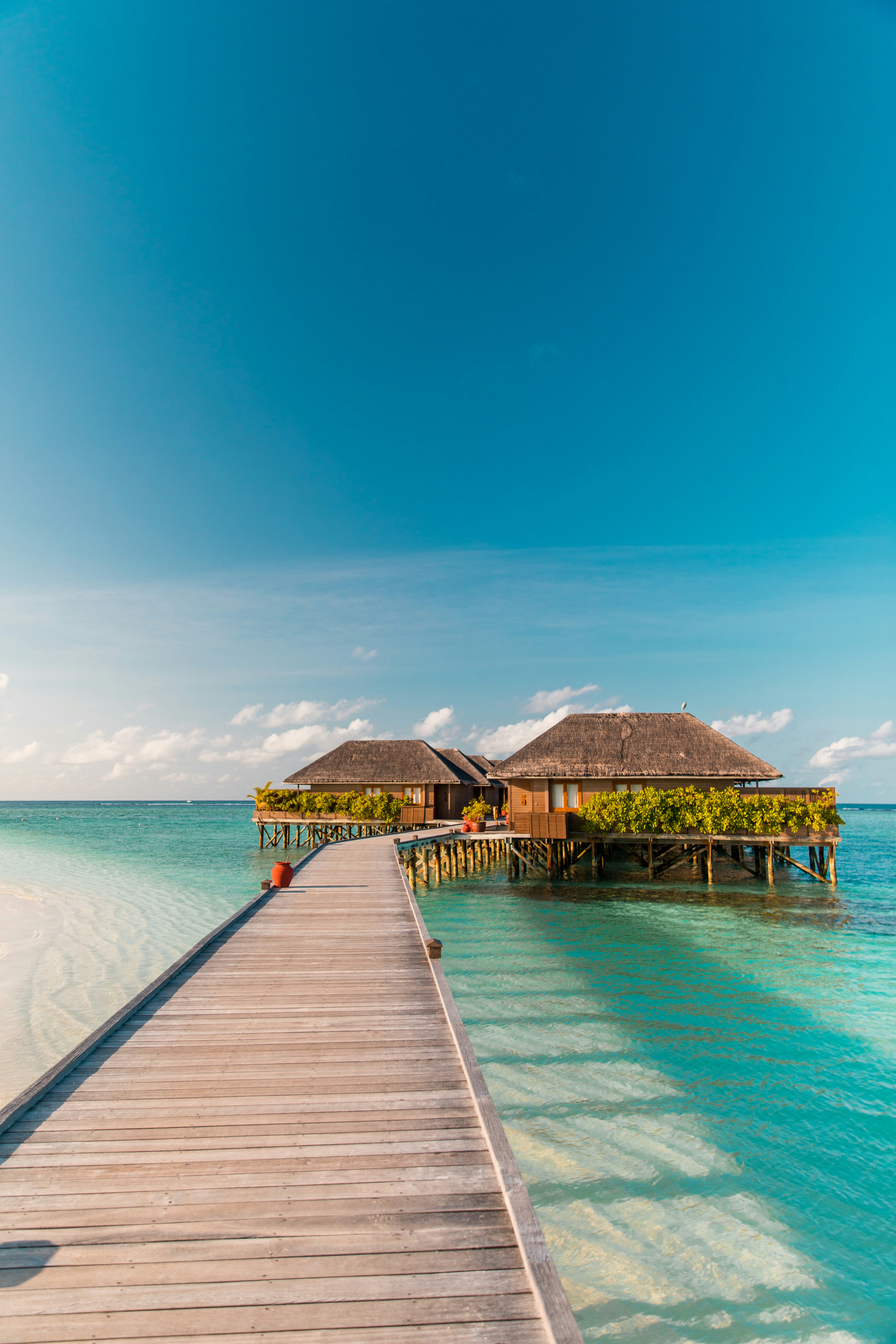 Gallery image 7 for Maldives: Luxury Overwater Retreat